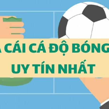 Top các trang bóng nhà cái uy tín tại thị trường cá cược năm 2023